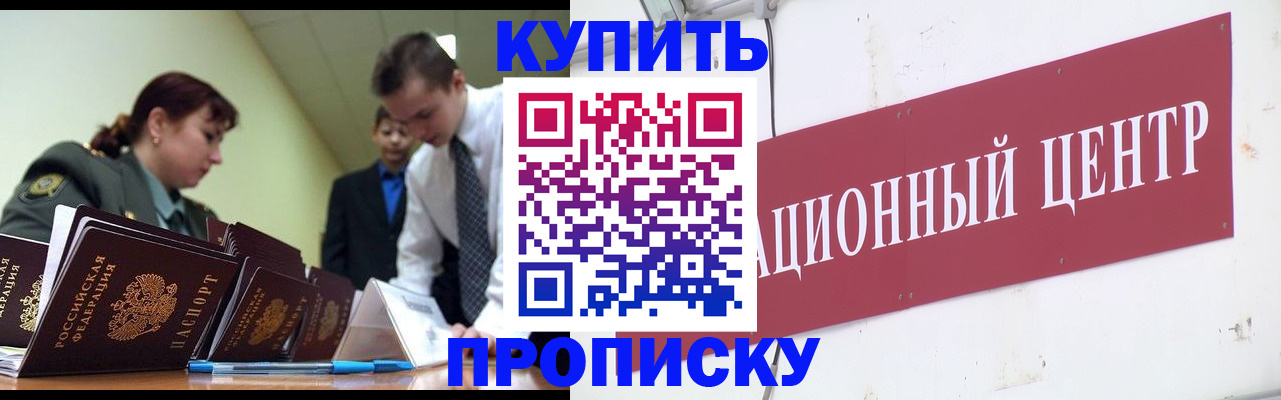 прописка поиск в Павловске